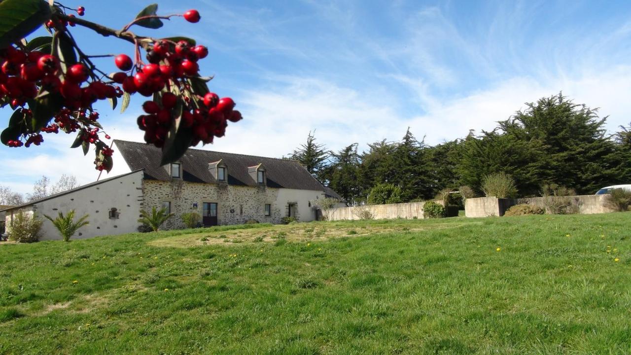 Le Colombier De Kerguezec Bed and Breakfast Surzur Eksteriør billede